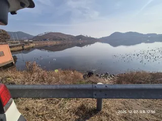 초동지 사짜 조행기