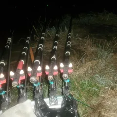 여주남한강 일원 에서 시작 했습니다...