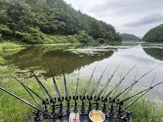 뭐좀 나올라나??