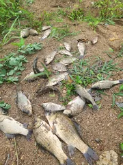 월레이런곳이아닌데 ~~