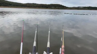 제정신 인지 3탕을