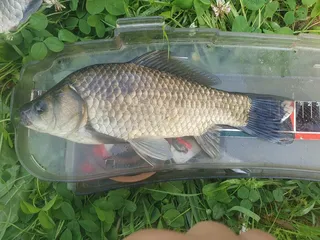 토종터 소류지.