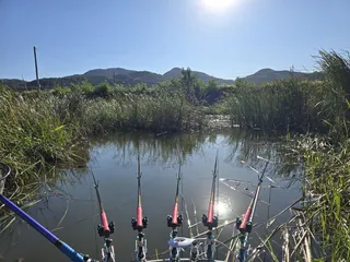 강화도 망월수로