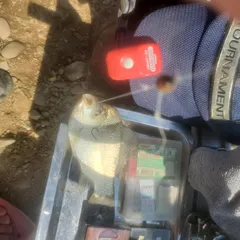 여주남한강 일원 에서..