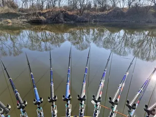 물색좋은 수로에서