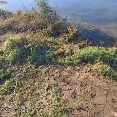 여주남한강 일원 에서  머물다가 간 자리 1~5번