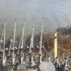 오늘 은 바람 과 싸우고 있어 요..ㅠㅠ 