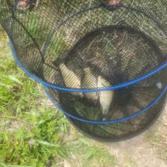 충주주덕에서 ~~?