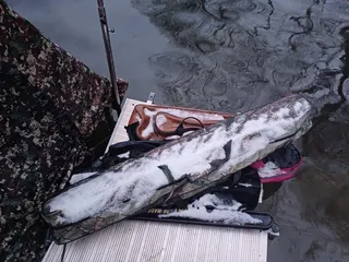 봄날에 눈이....