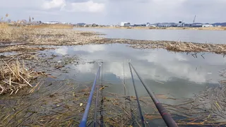 바람 쐬러간 날