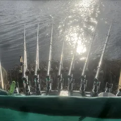 해남에서  28일차  지나고 있습니다. 