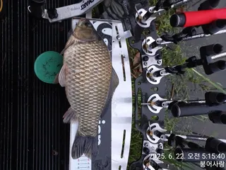 부여 옥산지에서 하루밤(2)