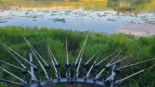 붕어라는 생명체 없는 그곳에서