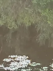 물색이 좋아 기대 됩니다.