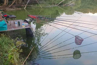 경기권 소류지 3박 낚시