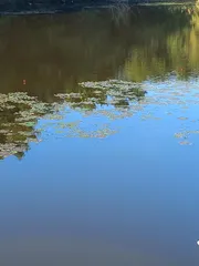 물색이 좋아 기대 됩니다.