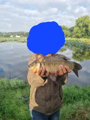 경산 진못  44센지  고기 모습