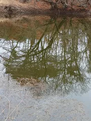 한 마리 나와 주네요.