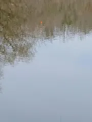 짬 낚시 왔네요.