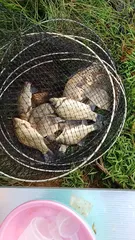 안면도 어느 소류지