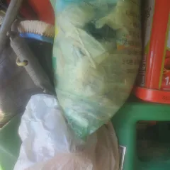 음성에서 머문 자리...