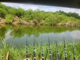 여주남한강 일원 에서~~??실시간 현장에서..