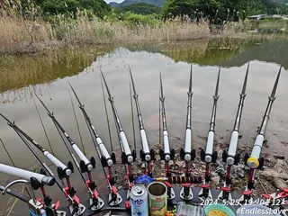 2박 다녀왔습니다.