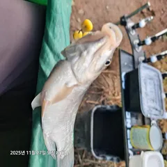 청양 소류지 에서 8일째...