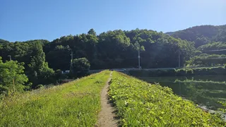 독조의 알싸함~~