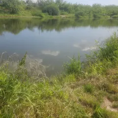 단양.제천 빙글빙글돌다가 예전에 하던 곳으로..ㅠ