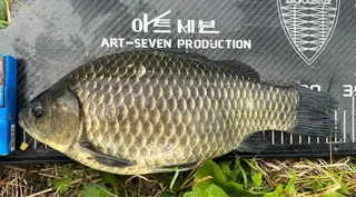 의성 토종터 소류지.