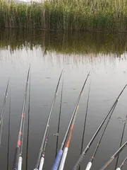 금년 2번째 낚시