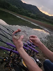 저수율 30% 큰일이네요. .