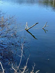 한 마리 보기 힘든 시기  네요.