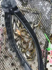 의성 토종터 소류지.