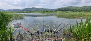 오랜만에 대널어봅니다