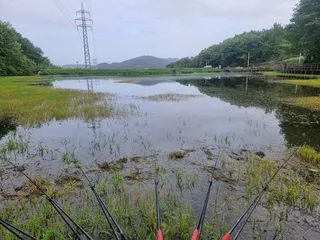 역대급(?) 조행~ㅜㅜ