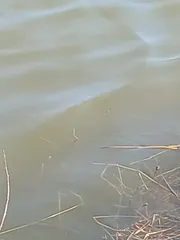 짬낚 한 마리 보고 추워서 철수 합니다.