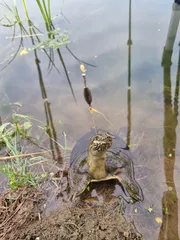 이쁜자라보세요~~~