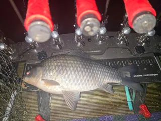 <겨울밤 청풍호에서>