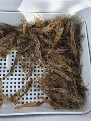 의성 토종터 소류지.