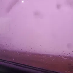 10일 정도  지나고  있습니다  해남 일원 에서 