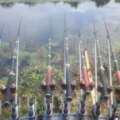 여주남한강 일원 에서 3차..?