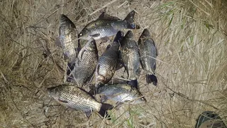 지난 토요일 몇수!