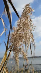 2025년 대호만 마무리 합니다!