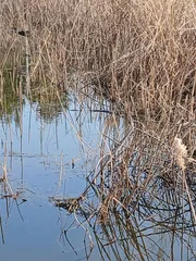 오전3시간 짬 낚시.