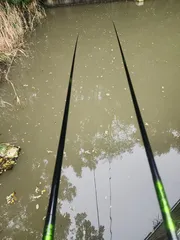 비오는날 낭만 힐링 ing