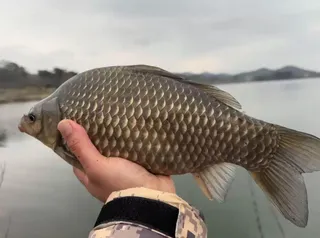 빵좋은 녀석을 만나다..