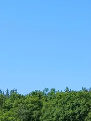 토종터 짬 낚시에 낚은 32cm.