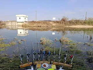 안성 청룡천 월매교